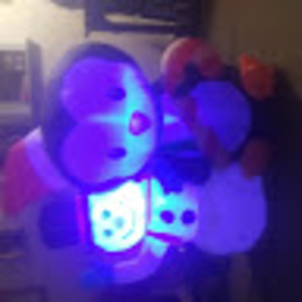 Meet your Posher, Valiere kitty